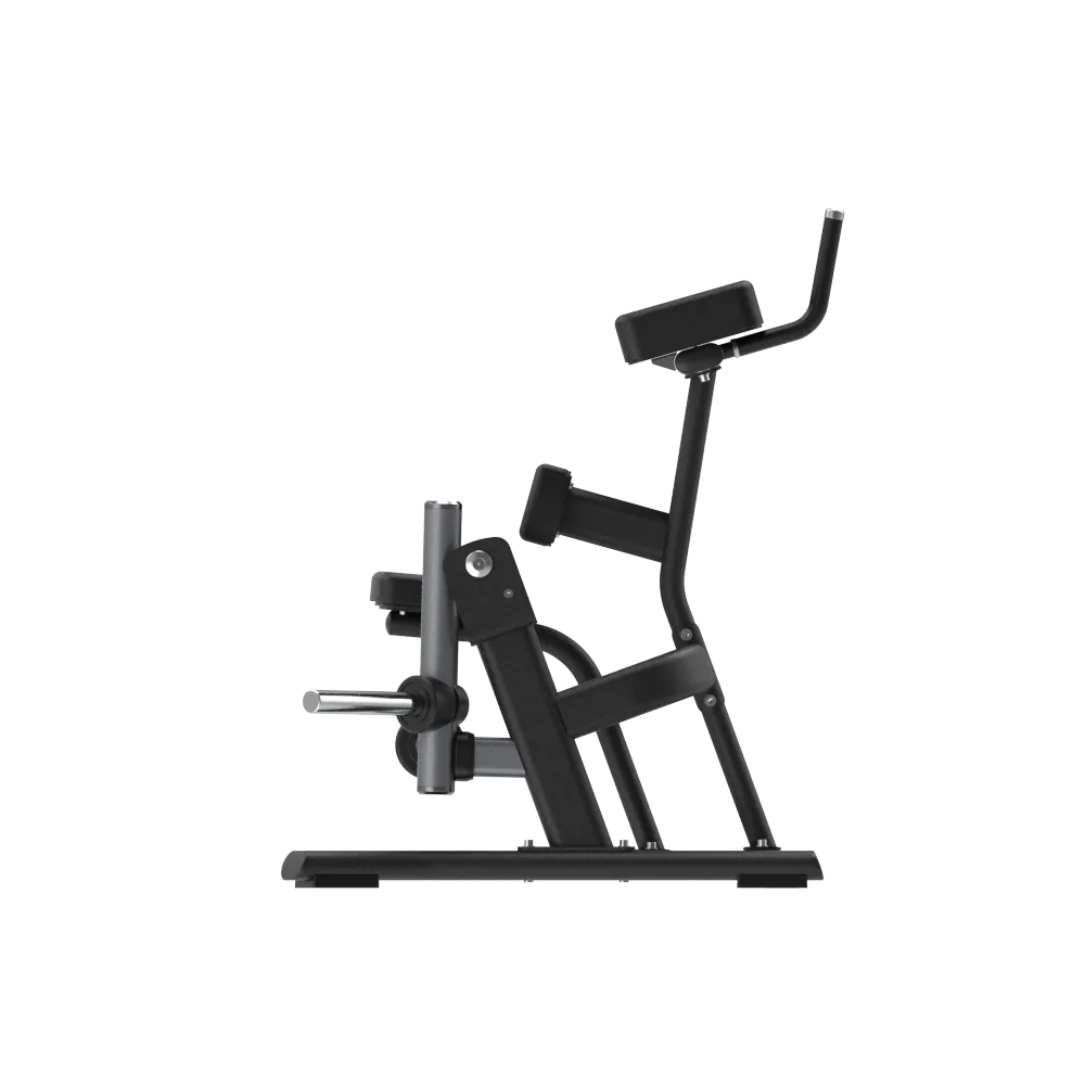DFX Alternate Legcurl - Afbeelding 1