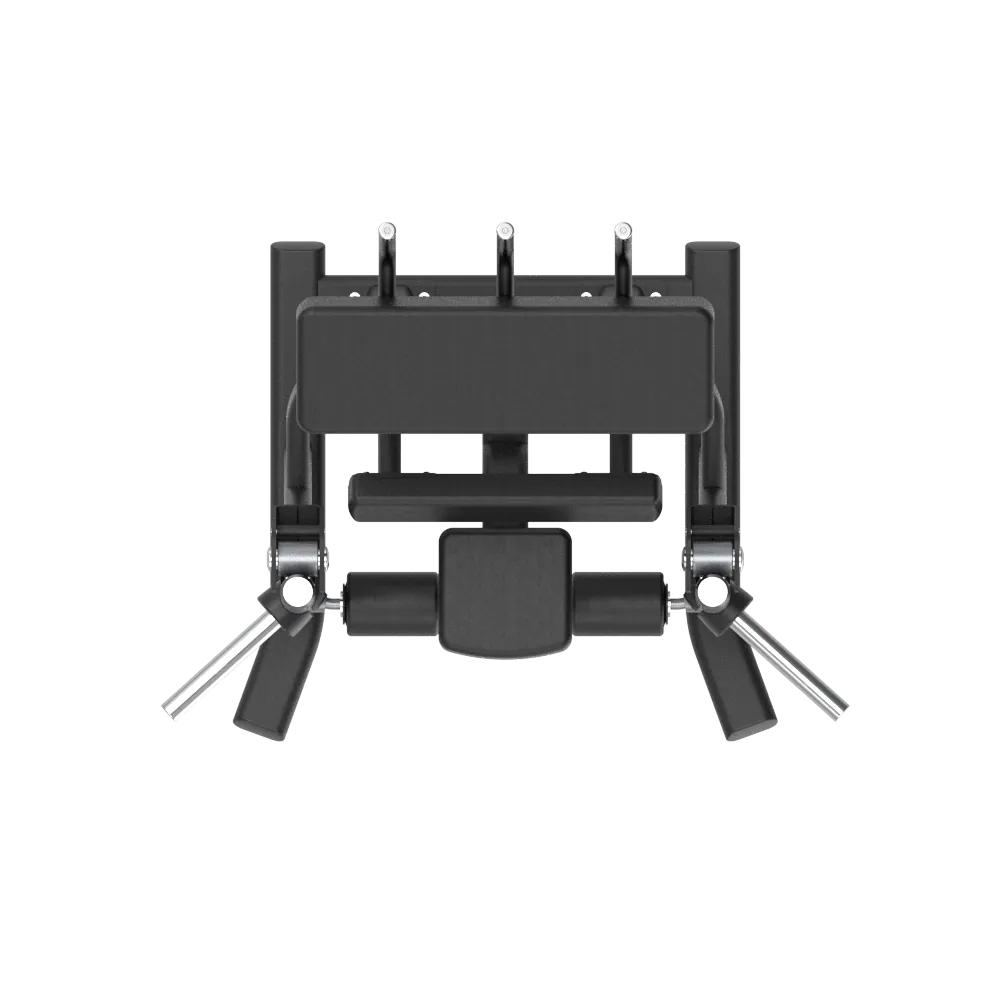 DFX Alternate Legcurl thumbnail 4