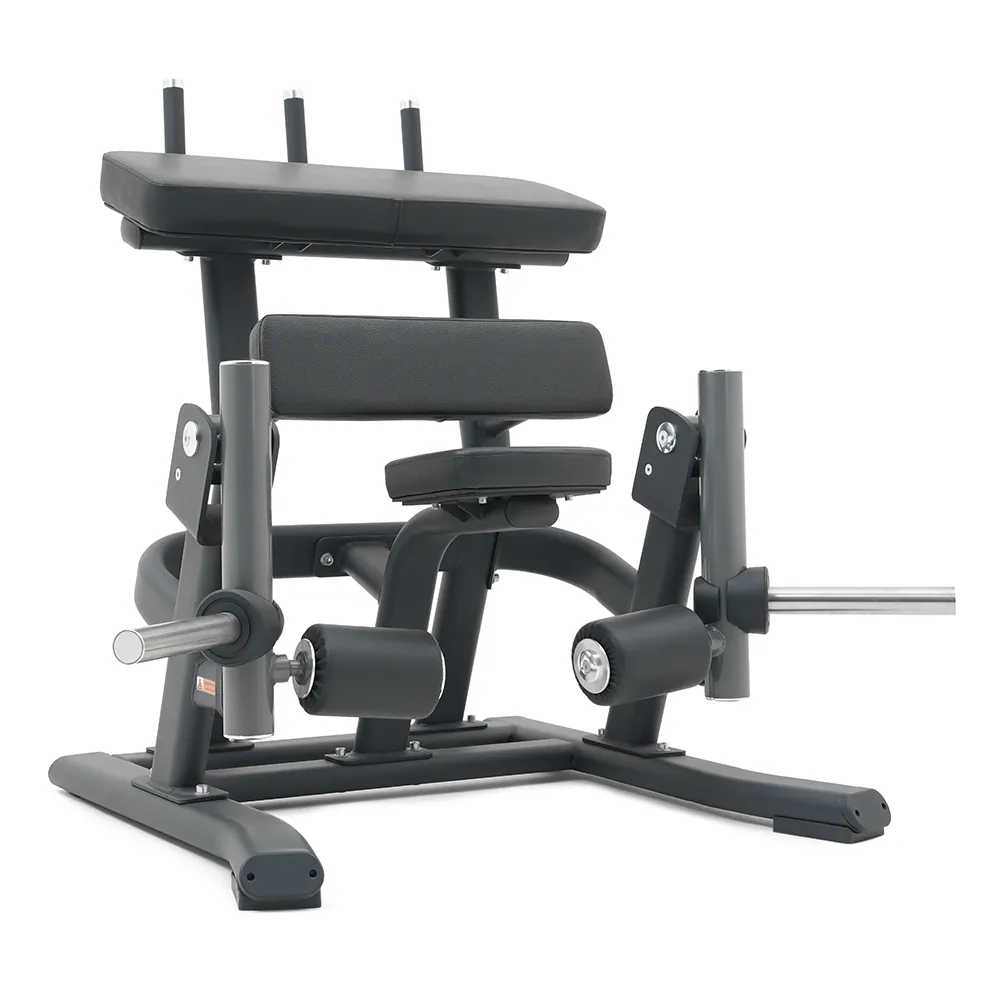 HS Series Alternate Legcurl - Afbeelding 1