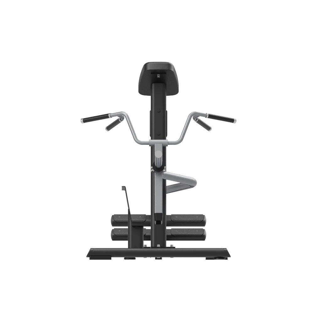 HS Series T-bar Row 2