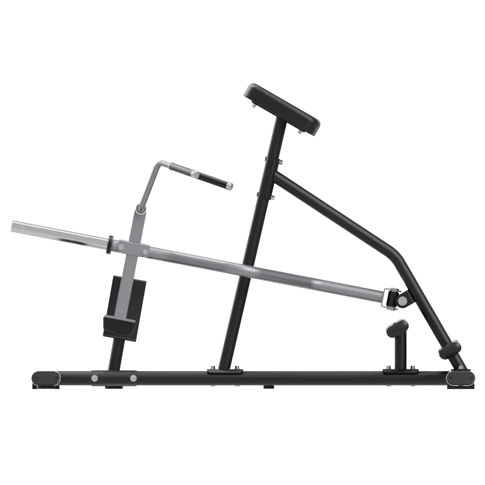 HS Series T-bar Row 4