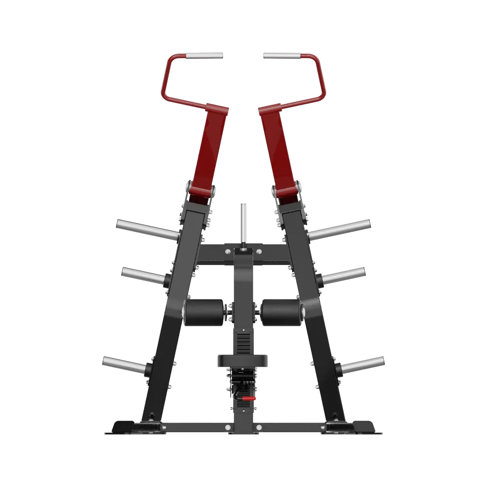 PS Series Lat Pull Down 2
