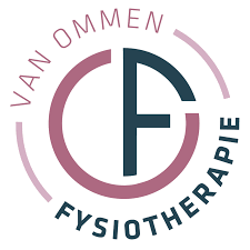 Fysiotherapie Ommen project