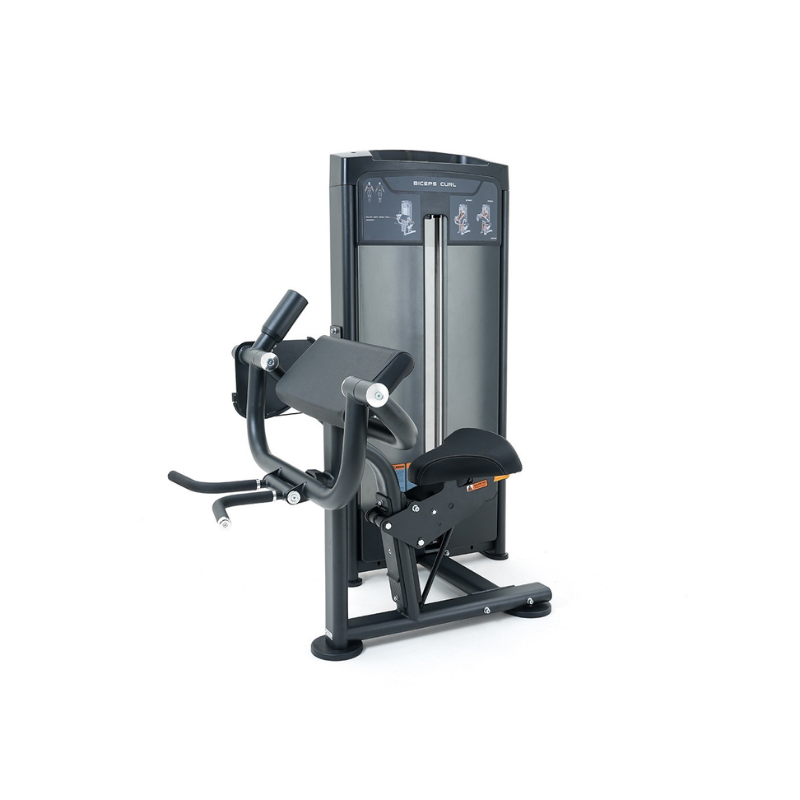 DFX Biceps Curl - Afbeelding 1