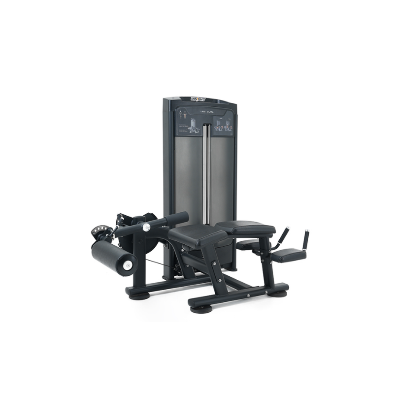 DFX Leg Curl - Afbeelding 1