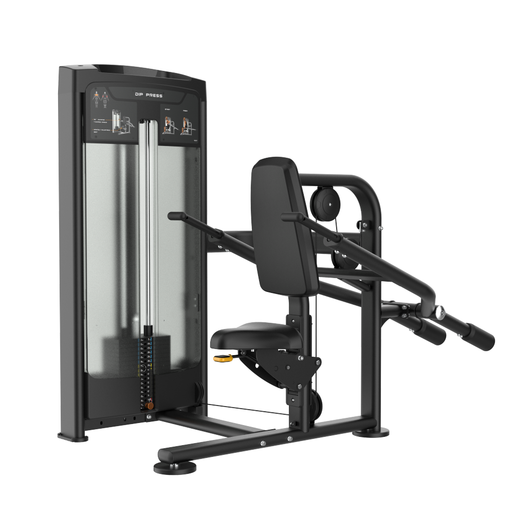 DFX Seated Triceps Dips - Afbeelding 1